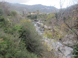 cantara gurne06-01-2014 19-26-06